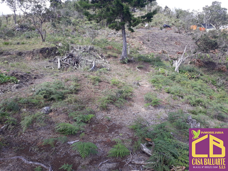 Terreno en Venta en Rionegro