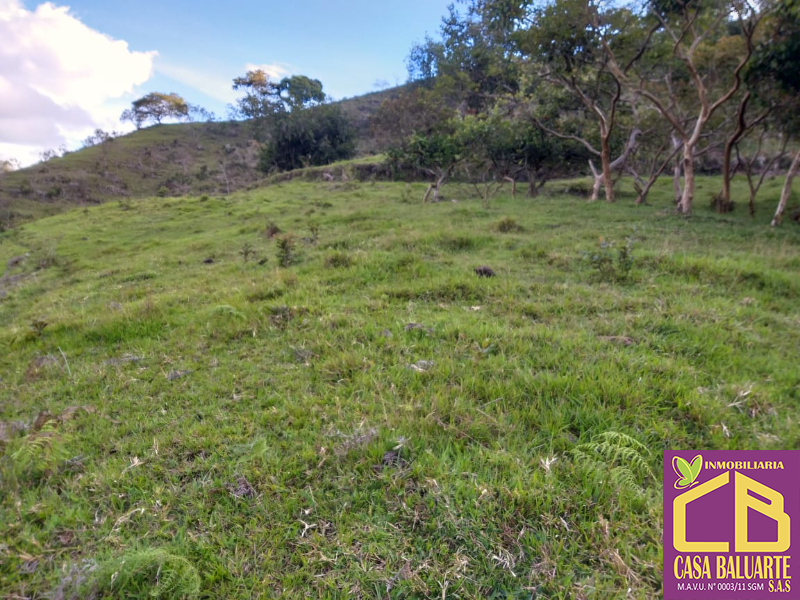 Terreno en Venta en El Peñol